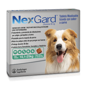 NexGard 10,1-25 KG