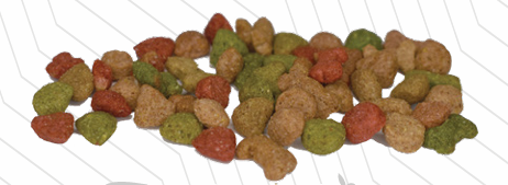 Roco Doc Cachorro - Image 2