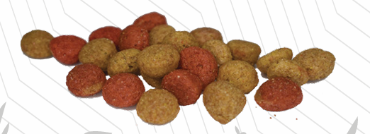 Roco Doc Adulto - Image 2