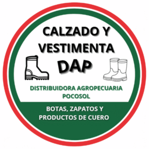Calzado y Vestimenta