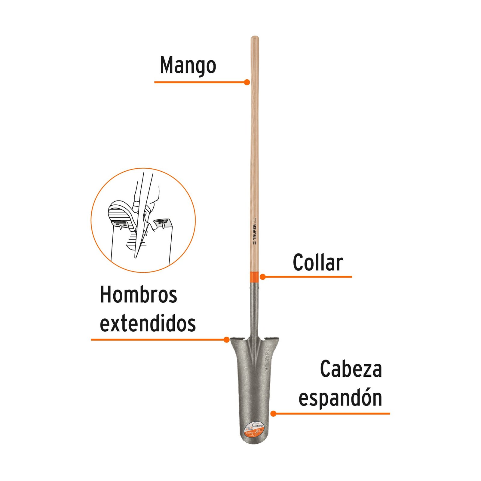 Pala espadón Classic, mango largo 49", Truper - Image 3
