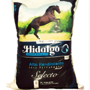 Caballo Hidalgo