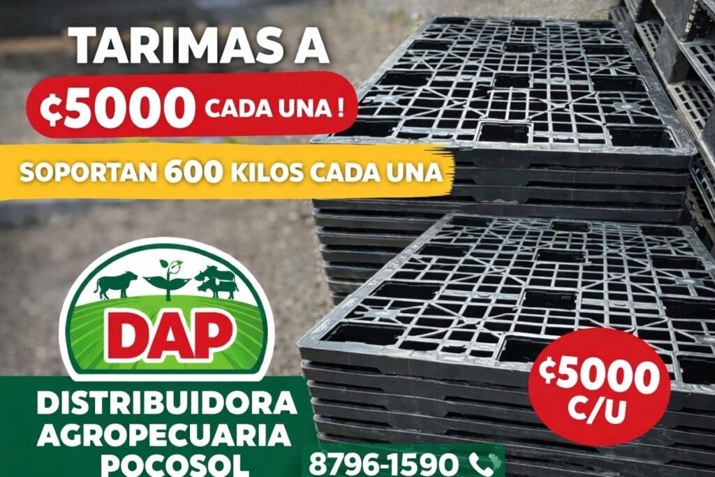 WhatsApp Image 2026-04-10 at 12.24.33 PM